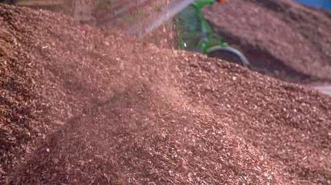 Processing of woods Stock Footage 53433212