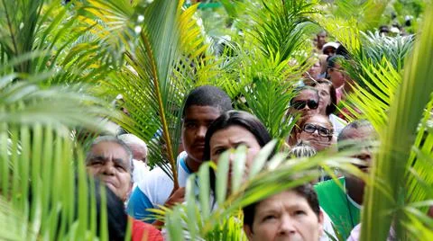 Procession of branches in salvador Stock Photos