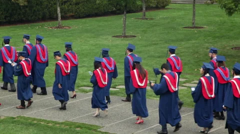 Procession of  University graduates Stock Footage 45498118