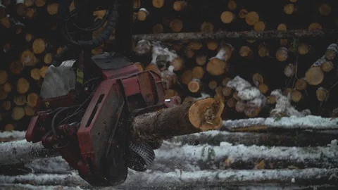 Processor Cutting Lumber To Length Stock Footage 106598831