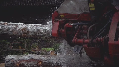 Processor Feeding A Log Through In Winter Stock Footage 106598793