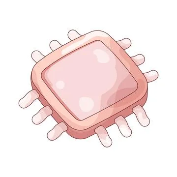 Processor 库存插图