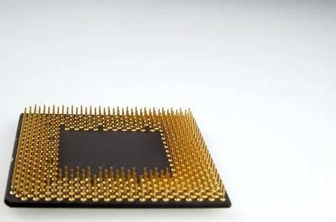Processor seen from the gold pins on a white background. Stock-Fotos