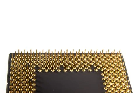 Processor seen from the gold pins on a white background. Stock Photos