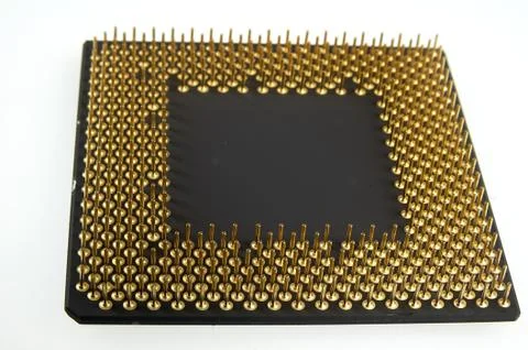 Processor seen from the gold pins on a white background. Stock Photos