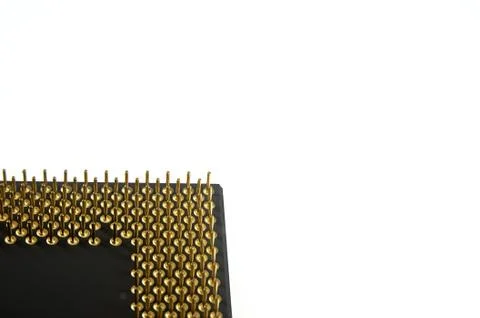 Processor seen from the gold pins on a white background. Stock Photos