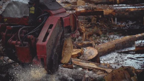 Processor Trimming Ends Stock Footage 106599022