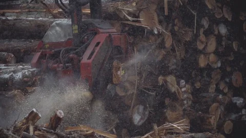 Processor Trimming, Heavy Snowfall Stock Footage 106599301