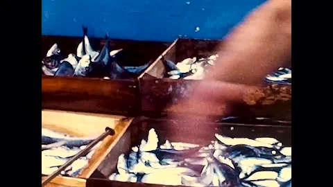Procida, Italy, 1982 - Some boxes of freshly fish are on display on the pier Stock Footage 167088509