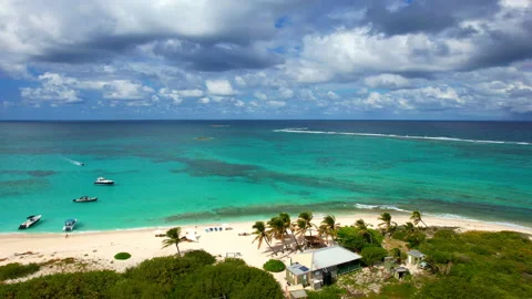 Prockley Pear Cay Stock Footage 219345275
