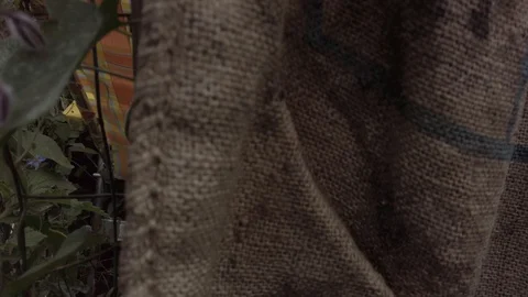 Proctor Garden 20 Stock Footage 117597833