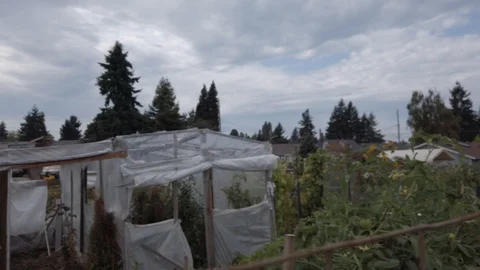 Proctor Garden 23 Stock Footage 117597874