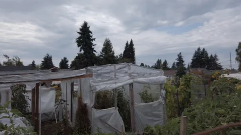Proctor Garden slow motion 23 Stock Footage 117597808