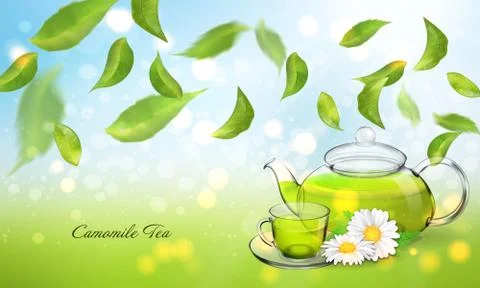 Procurement for the brochure of chamomile tea with a transparent glass teapot 스톡 일러스트