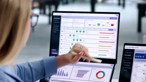 Procurement Manager Reviews Purchase Requisition Status Stock Footage 344712463