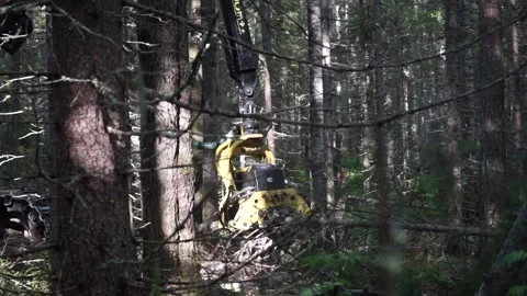 Procurement of materials Stock Footage 145426898