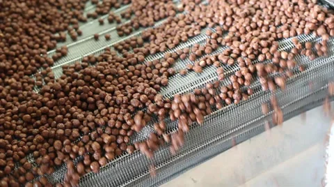 Produção de Cereal Matinal Stock Footage 35313811