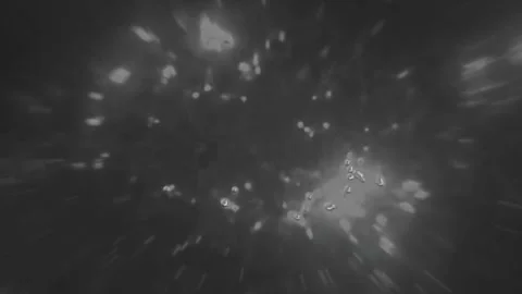 Produce 0 Stock Footage 304954048