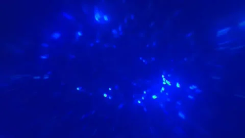 Produce 4 Stock Footage 300094764