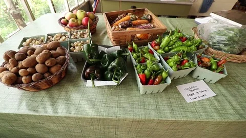 PRODUCE DISPLAY 스톡 동영상 102742850