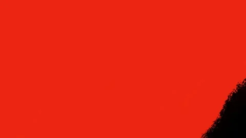 Produce Stock Footage 302812593