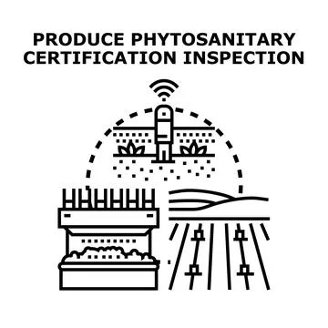 Produce phytosanitary certification inspection process concept Stock Illustration