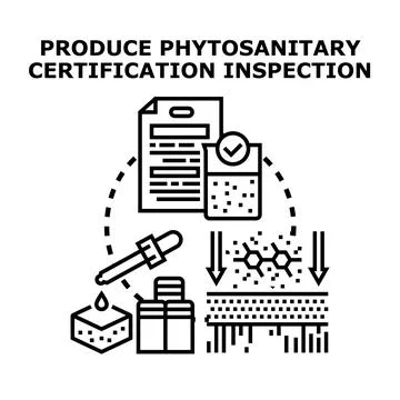 Produce phytosanitary certification inspection process concept Ilustração Stock