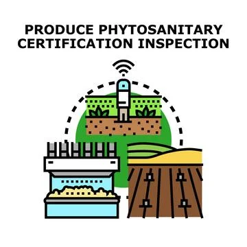 Produce phytosanitary certification inspection process concept Illustrazione stock
