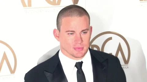 Producers Guild Awards 2013, Beverly Hills - 26 Jan 2013 Stock Footage 205245066