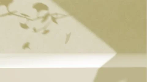 Product background using 3D rendering and geometry. background for products mock Stock Illustration