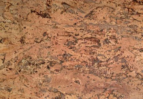 Product bark Stock Photos