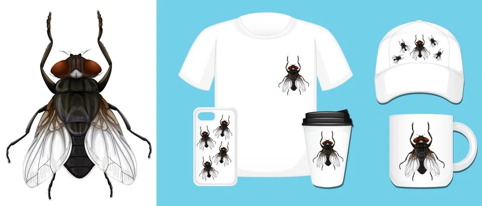 Product design with housefly on different templates Stock Illustration