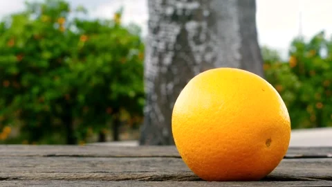 Product Video of an Orange Video stock 272321324