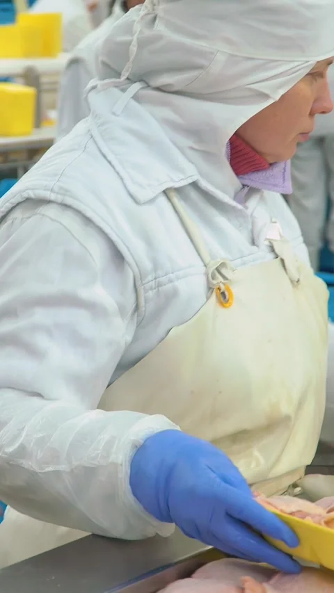 Production and processing of chicken meat. Vertical video. Stock Footage 269644321