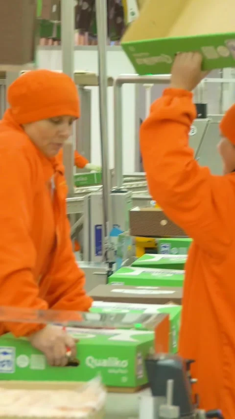 Production and processing of chicken meat. Vertical video. Stock Footage 269644360