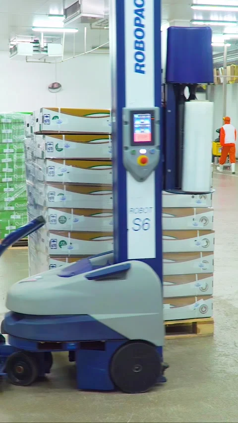 Production and processing of chicken meat. Vertical video. Stock Footage 269644400