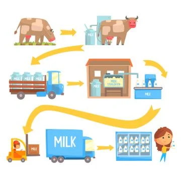 Production and processing milk stages set of vector Illustrations Stock Illustration