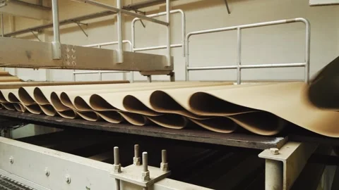 Production of biodegradable packaging from waste paper. Close-up of working Video stock 282668834
