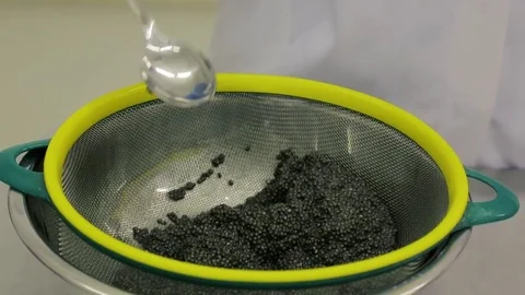 Production of black caviar 動画素材 85188764