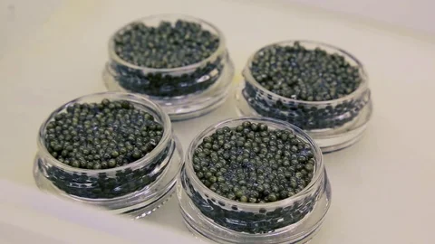 Production of black caviar 動画素材 85188777