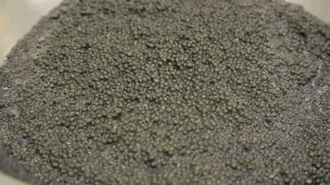 Production of black caviar 動画素材 85188787