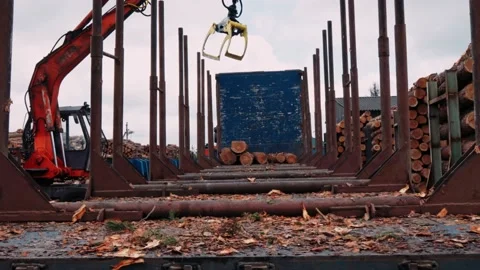 Production of boards, pallets and other wooden products from logs. A special Stock Footage 201136409