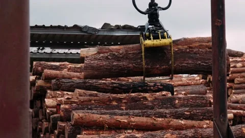 Production of boards, pallets and other wooden products from logs. A special Stock Footage 201136472