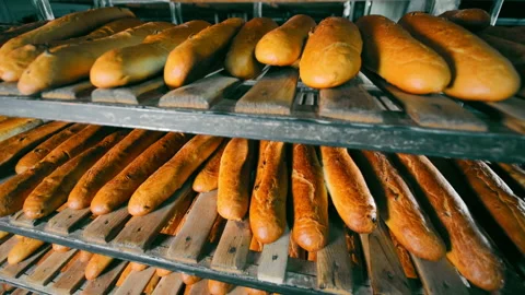 Production Of Bread In A Bakery. Long Loaves Lie On The Shelves Of Racks Stock Footage 238443222