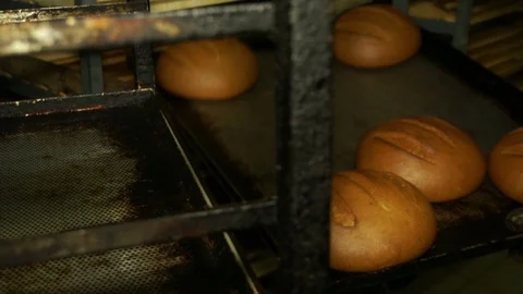 Production of bread. Freshly baked bread is placed on the trays Stock Footage 71890134