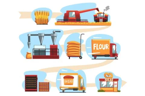 Production of bread from wheat harvest to to freshly baked bread in shop set of Stock Illustration
