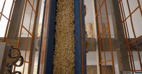 Production building of timber processing plant, in which wood chips are conveyed Stock Footage 161969405