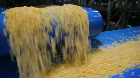 Production of canned corn 動画素材 10917177