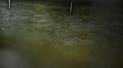 Production of cheese Stock Footage 49159539