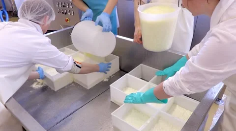 Production of cheese Stock Footage 62505564